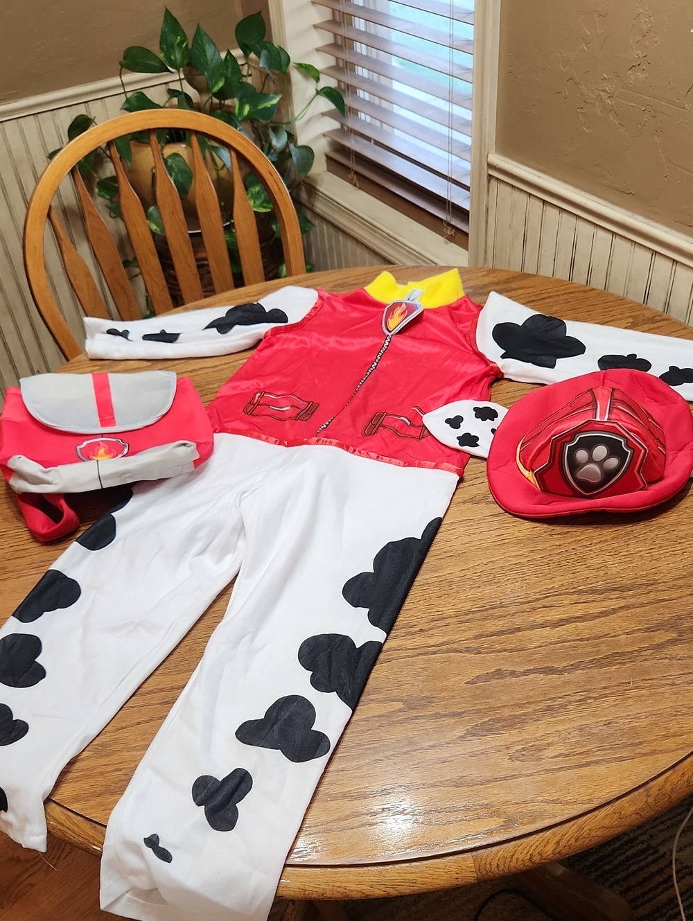Disney Paw Patrol Halloween costume Size Small